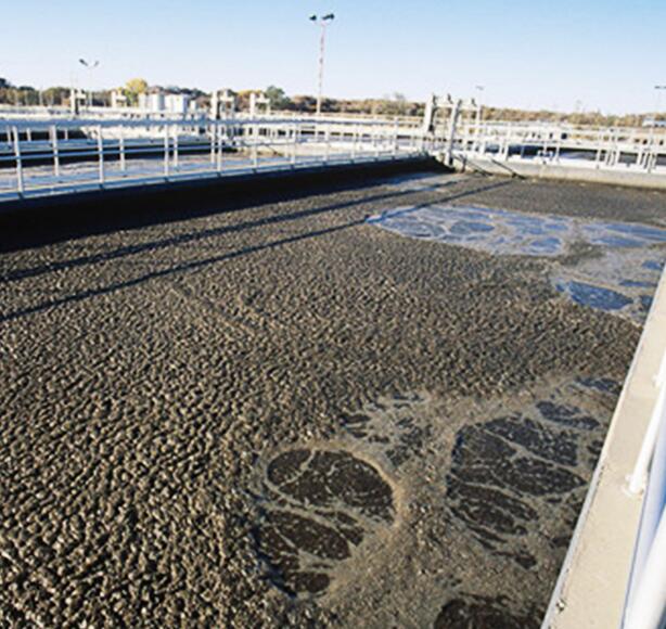養殖場污水處理方案